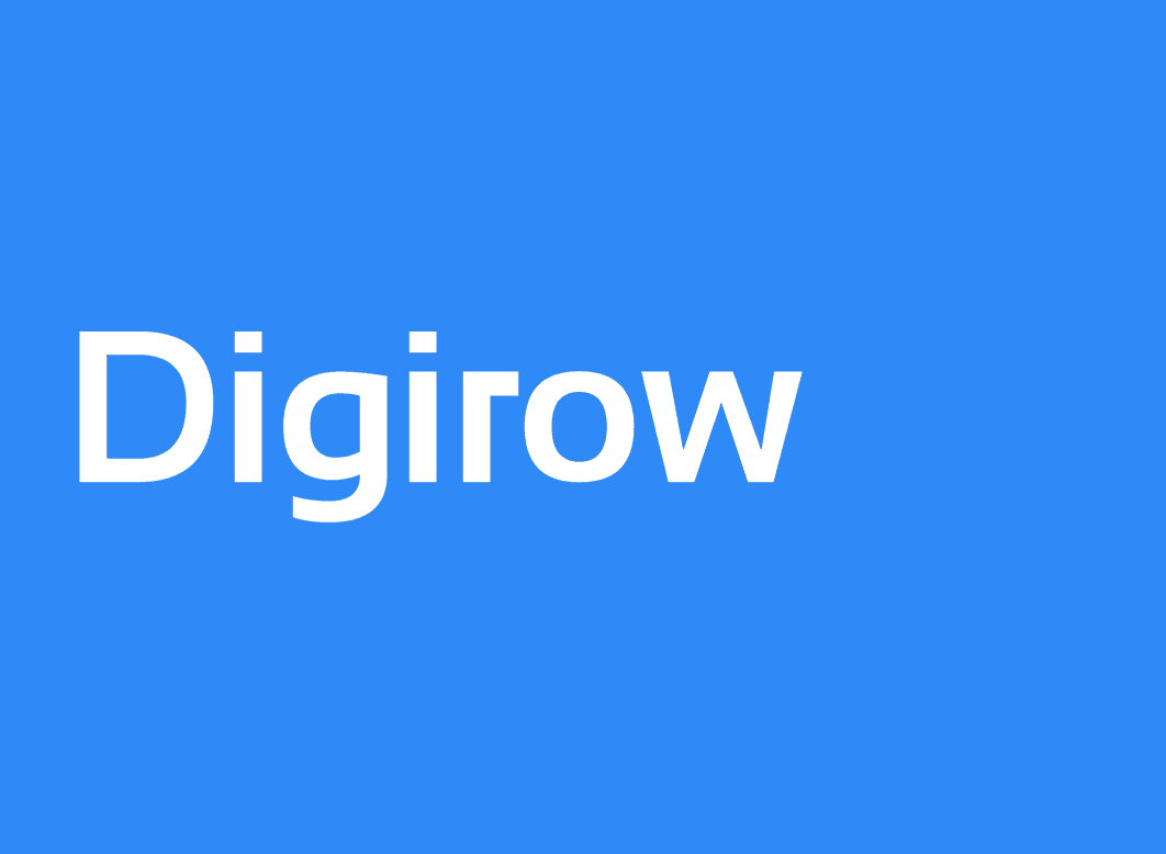 The cover image of Digirow K.K.