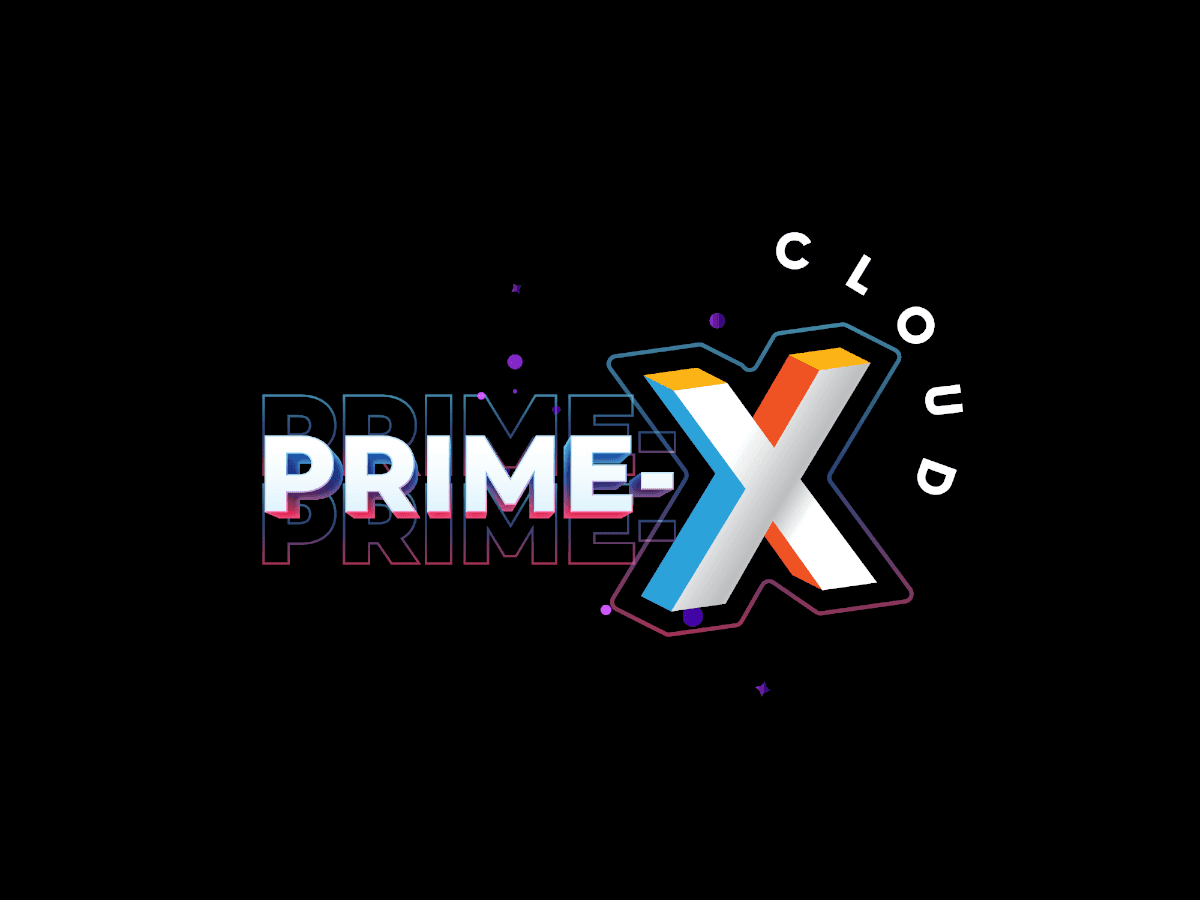 The cover image of PX3D INC.