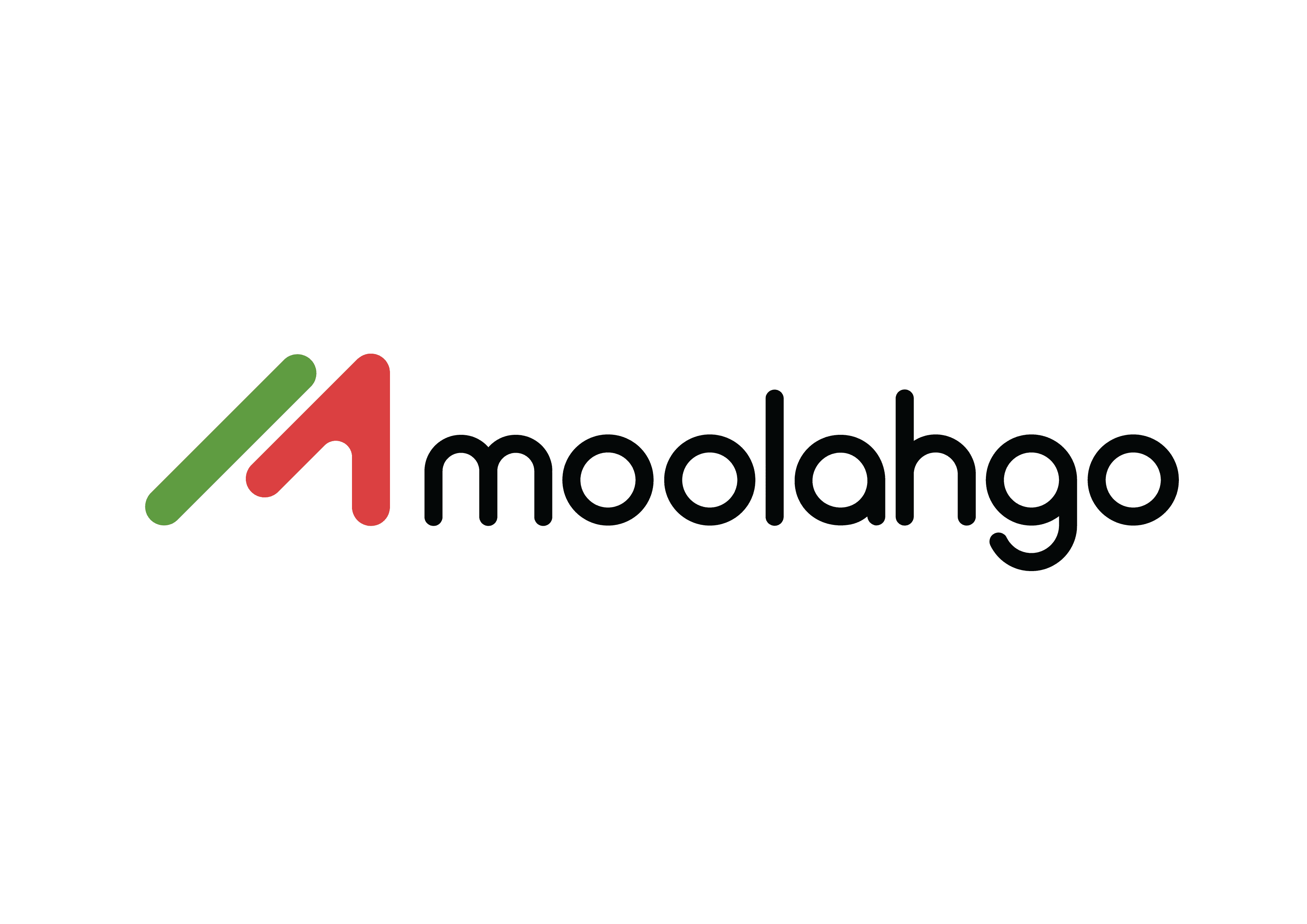 The cover image of Moolahgo