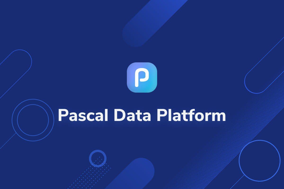 The cover image of Pascal Software