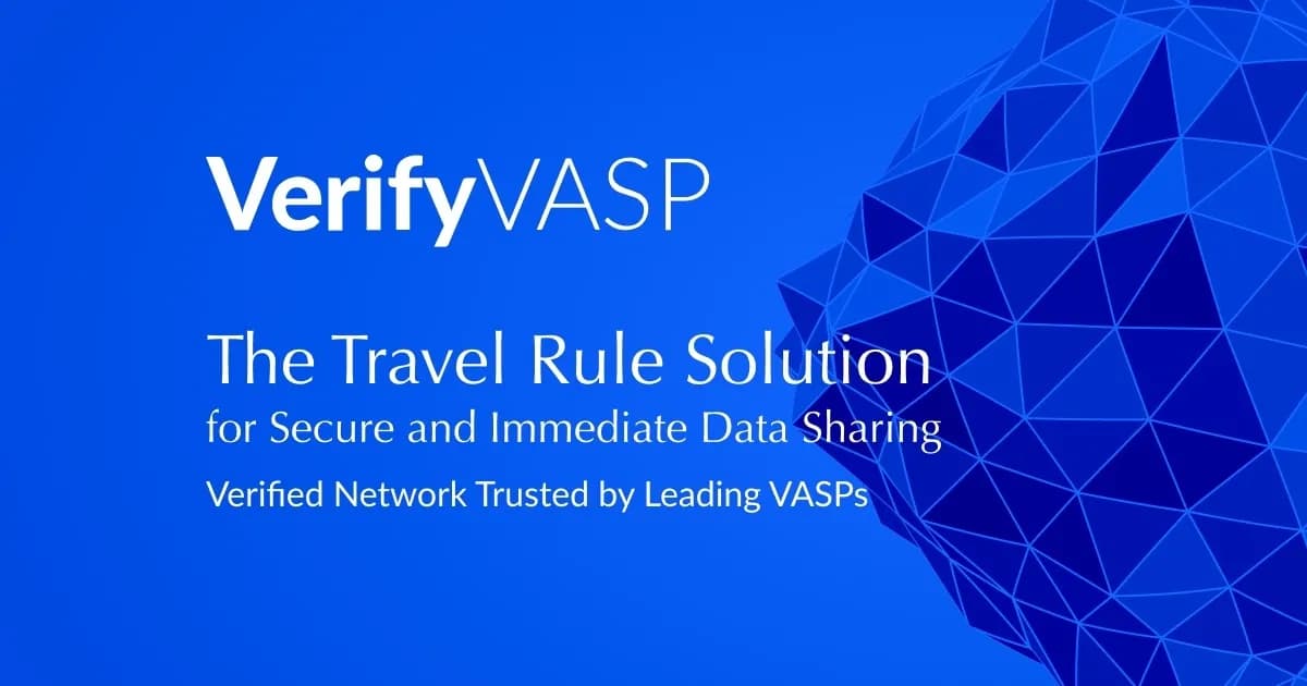 The cover image of VerifyVASP