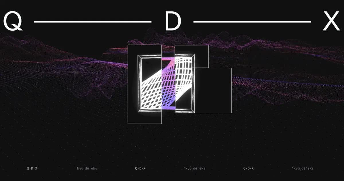 The cover image of QDX
